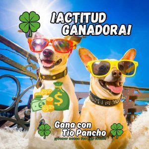 Sticker Actitud ganadora